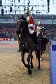 Cavalry - 00319